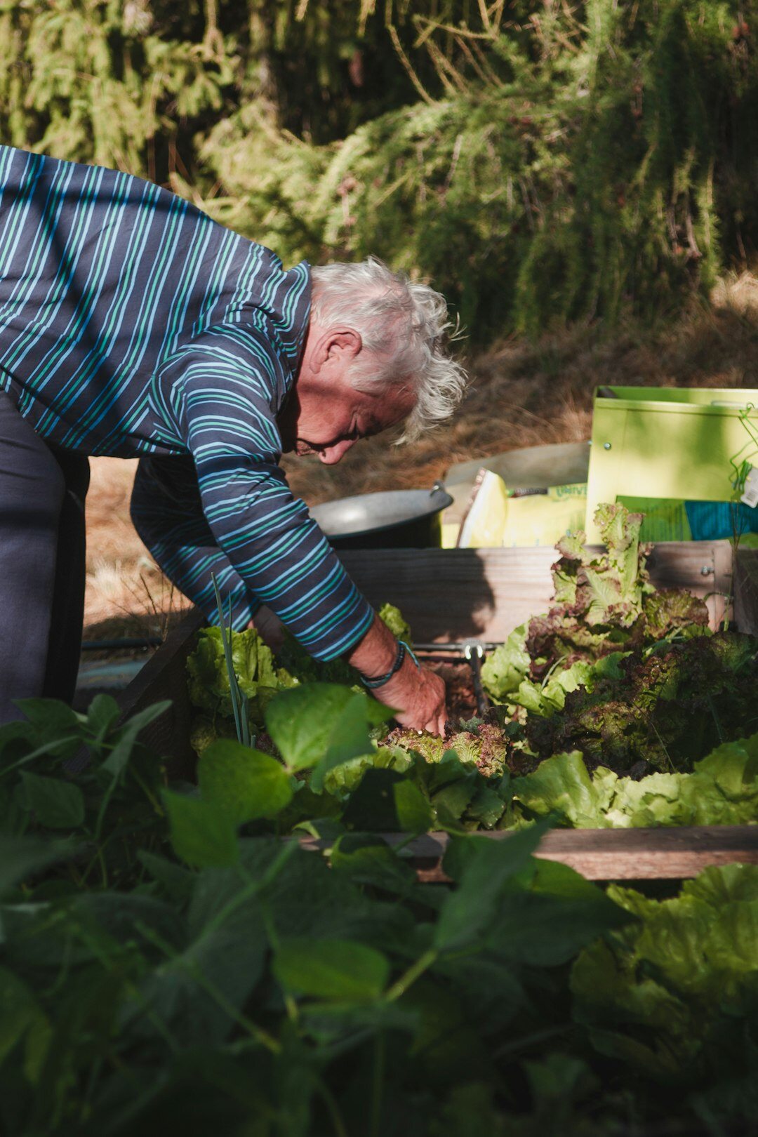 retired woman gardening